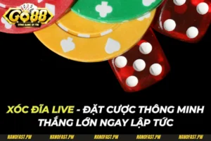 Xóc Đĩa Live - Đặt Cược Thông Minh Thắng Lớn Ngay Lập Tức